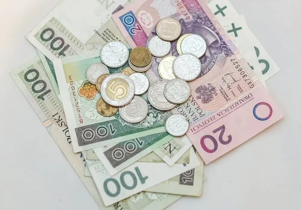 Jak odzyskać pieniądze z zus i ofe po śmierci ubezpieczonego bez problemów