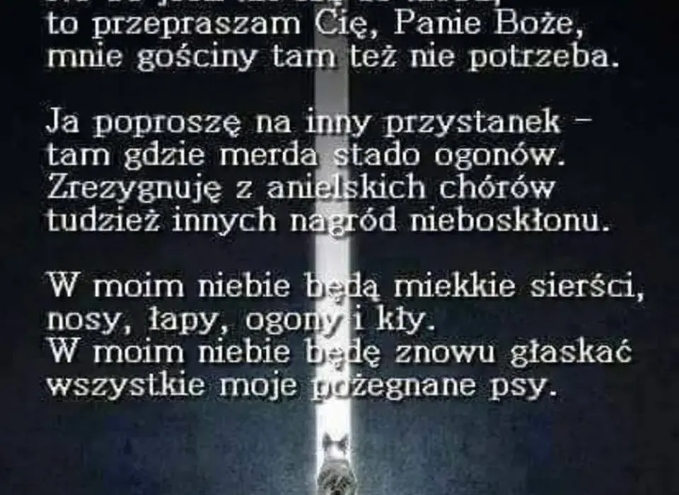 Jak pogodzić się ze śmiercią psa i znaleźć spokój w żalu