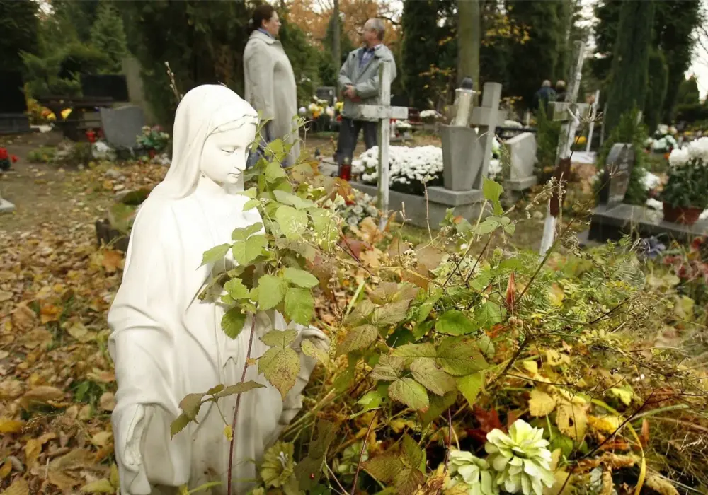 Jak dojechać na cmentarz osobowicki we Wrocławiu bez stresu?