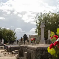 Kwiaty na grobie. Kto jest właścicielem pomnika na cmentarzu? Rodzina, która o nim pamięta.