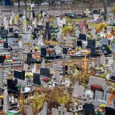 Cmentarz komunalny Bydgoszcz. Wiele nagrobków, krzyży i kwiatów na jesiennym tle.