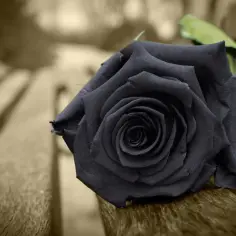Co oznacza śmierć bliskiej osoby we śnie? Zrozum swoje emocje