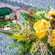 Jak zrobić kompozycję na cmentarz: tworzenie stroika z żółtych róż, gałązek iglaków i ozdób.