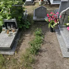 Nagrobek z kwiatami i zniczami. Grobonet nowa sól - miejsce pamięci.