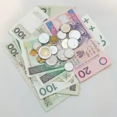Jak odzyskać pieniądze z zus i ofe po śmierci ubezpieczonego bez problemów