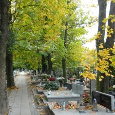Aleja nagrobków na cmentarzu w Poznaniu jesienią. Wyszukiwarka grobów poznań pomoże odnaleźć bliskich.
