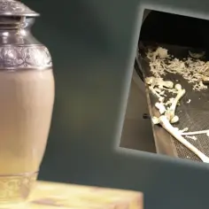 Co zamiast kremacji? Odkryj alternatywy, które mogą Cię zaskoczyć