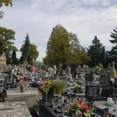 Cmentarz w Nowym Sączu, pełen nagrobków i kwiatów. Grobonet Nowy Sącz ułatwia odnalezienie informacji o pochowanych.