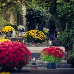 Jak ozdobić znicz na Wszystkich Świętych, aby uczcić pamięć bliskich