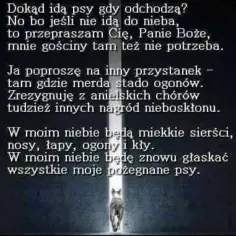 Jak pogodzić się ze śmiercią psa i znaleźć spokój w żalu