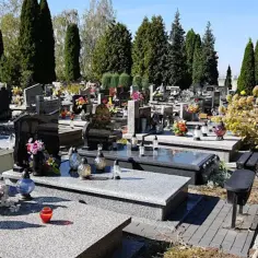 Czy można z psem na cmentarz? Sprawdź przepisy i zasady w Polsce