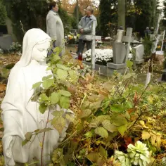 Jak dojechać na cmentarz osobowicki we Wrocławiu bez stresu?
