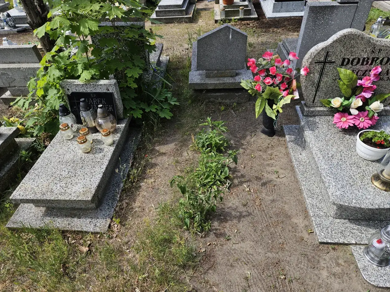 Cmentarz z nagrobkami, zniczami i kwiatami. Grobonet nowa sól - miejsce pamięci i zadumy.