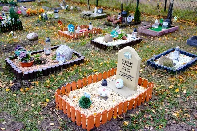 Zdjęcie Gdzie jest cmentarz dla zwierząt? Znajdź godne miejsce pochówku
