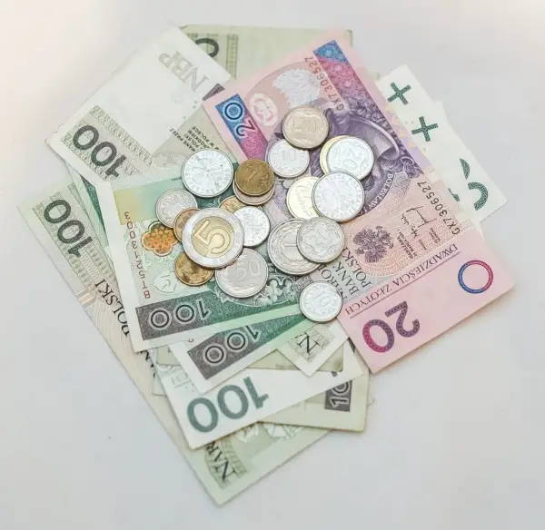 Jak odzyskać pieniądze z zus i ofe po śmierci ubezpieczonego bez problemów